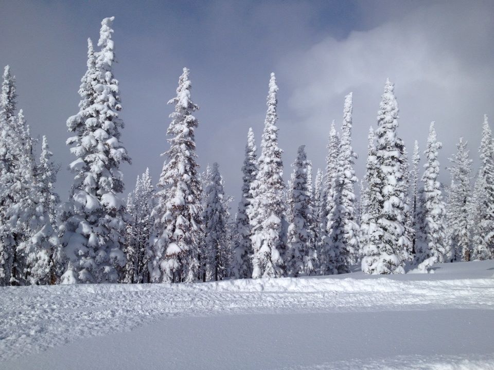 Snowy scene